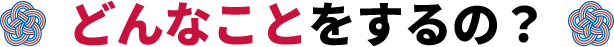 どんなことをするの？